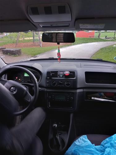 Skoda Praktik