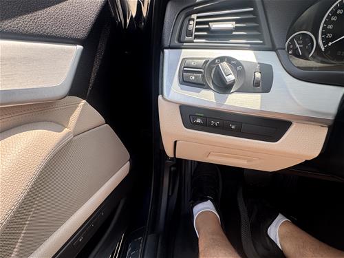 Shes BMW 530 xDrive