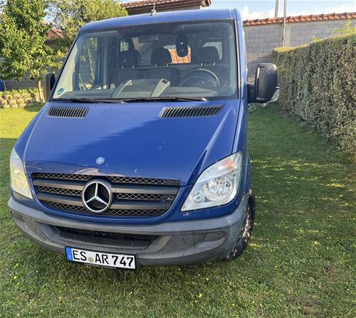 Shes mercedes sprinter