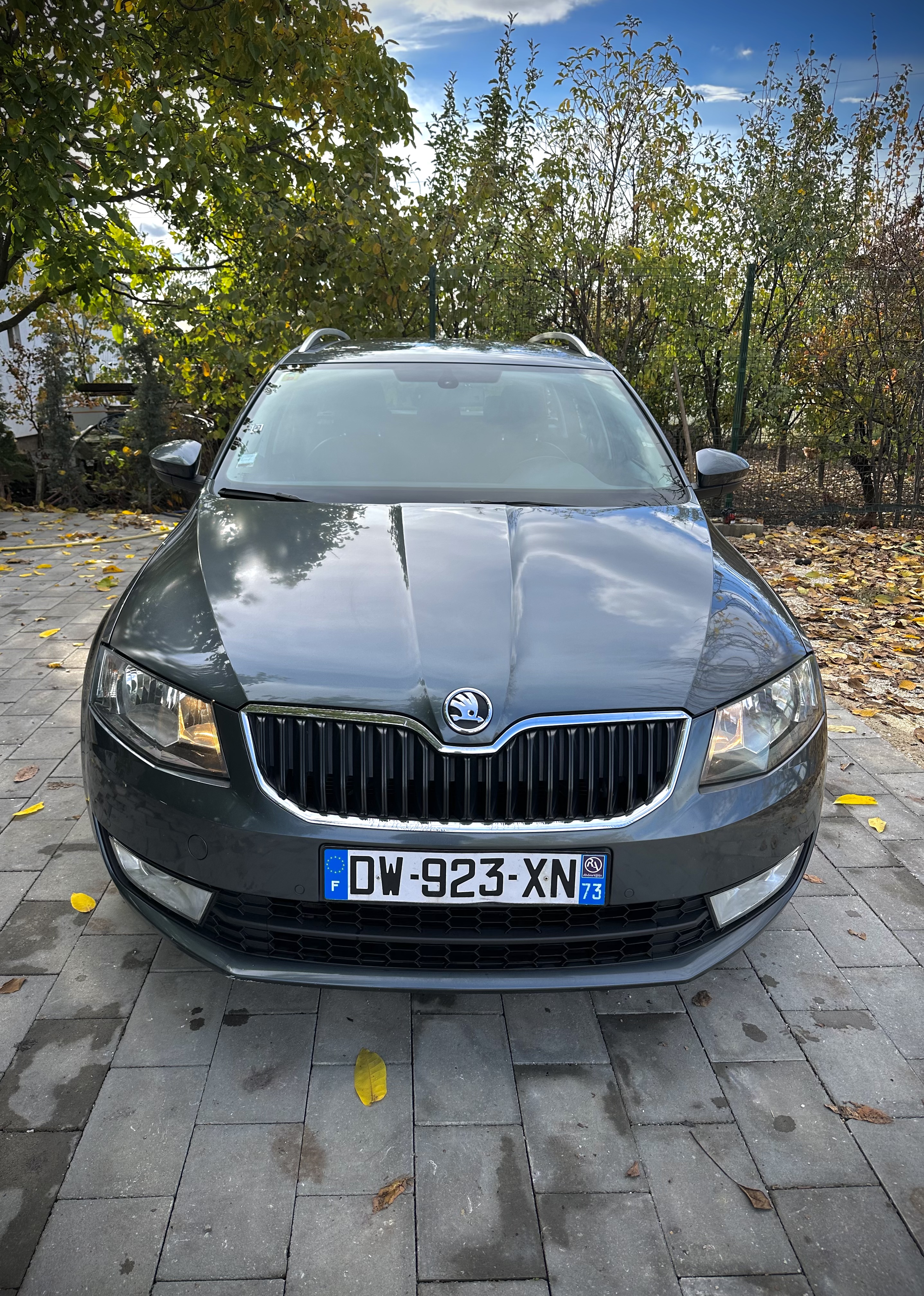 Skoda Octavia 2.0 Automatik