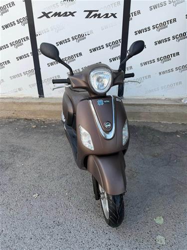 Shitet Sym Fidle III