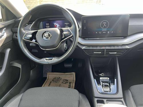 Shes veturen Skoda Octavia 2.0 tdi 4m