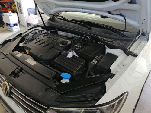 Shes Passat B8 2.0