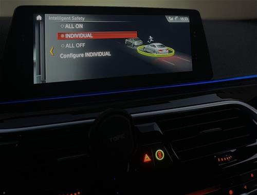 Shes BMW G30 520d